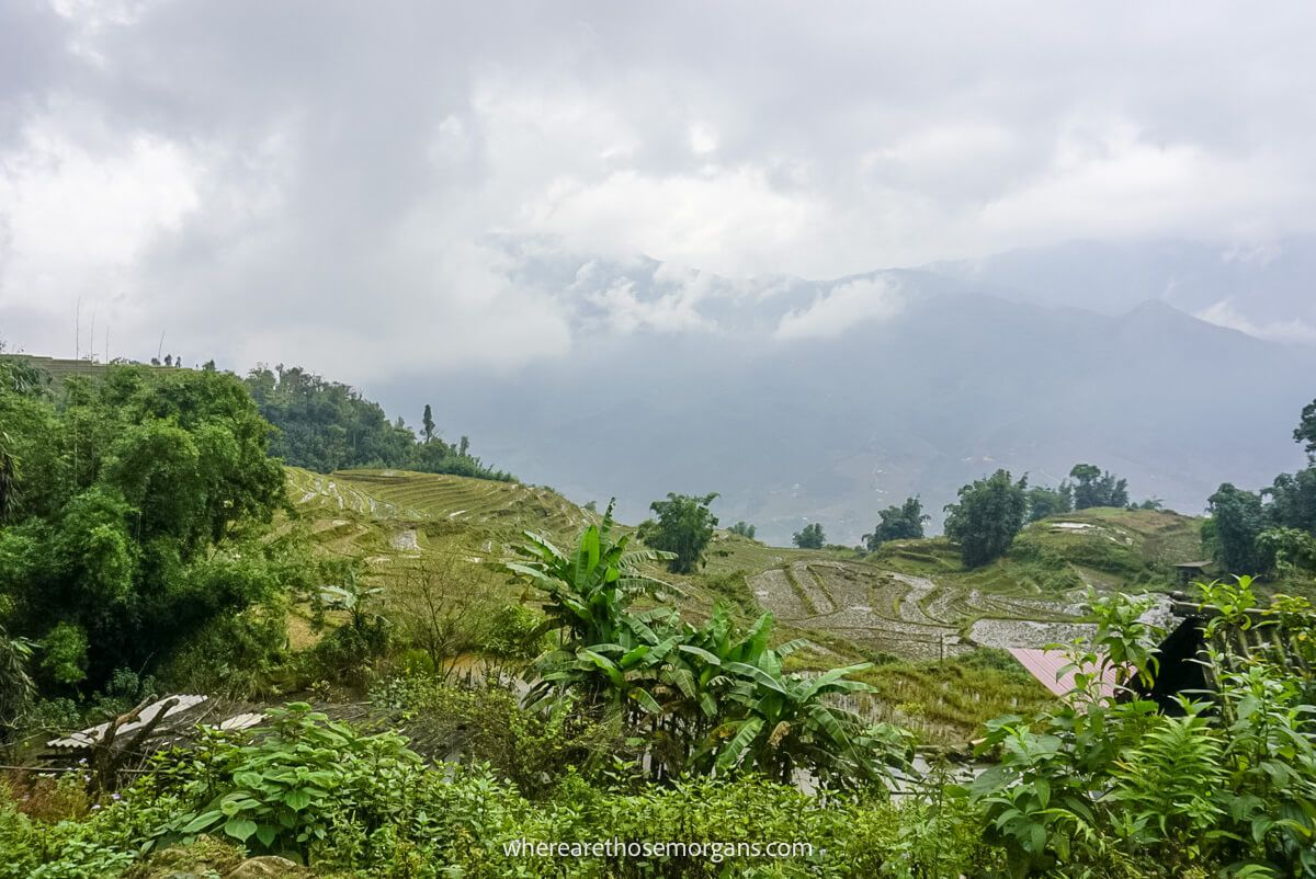 Fog rolling into the Sapa valley with rice paddies