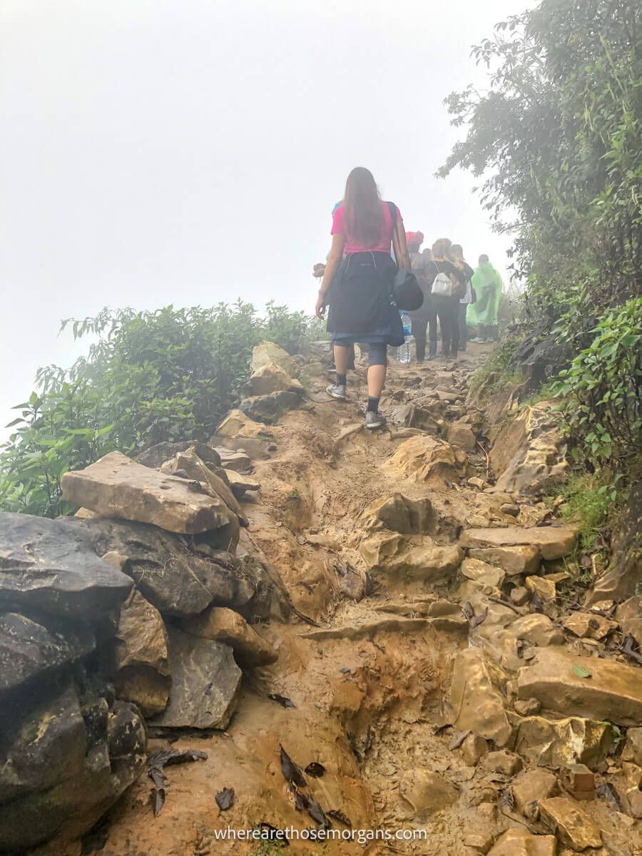 Large group of people hiking through a foggy section