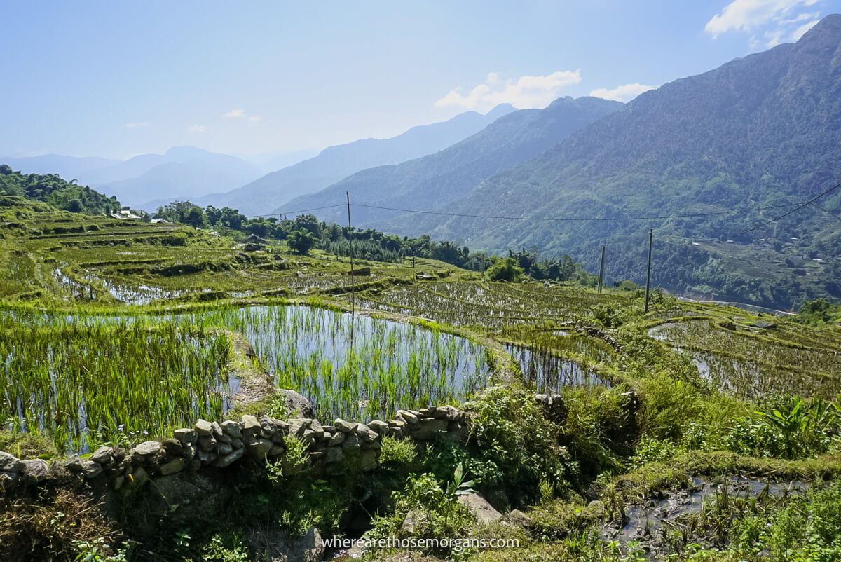 Stunning view of a waterlogged rice paddy near Sapa, Vietnam