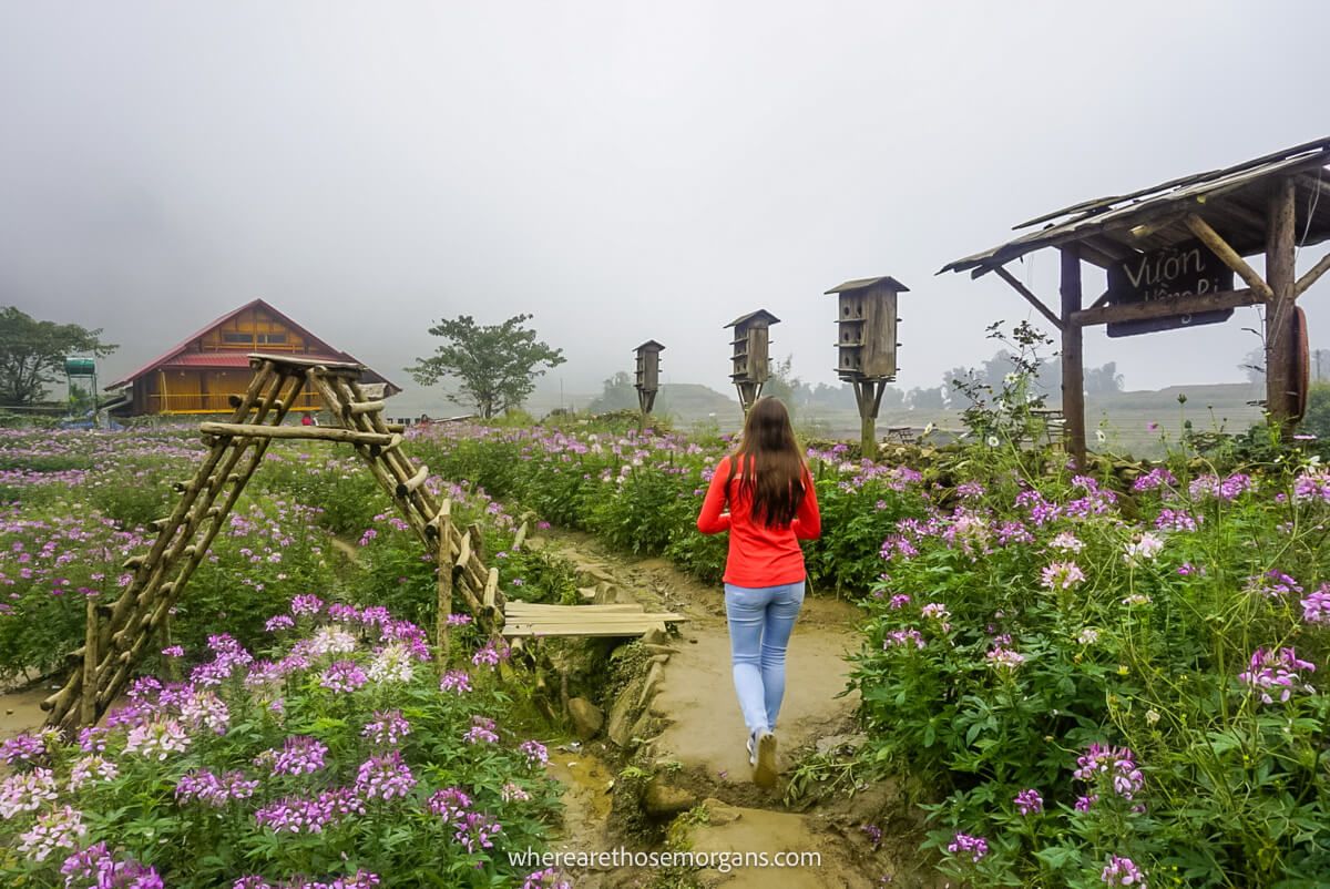 Woman walking through a large garden filled with purple flowers