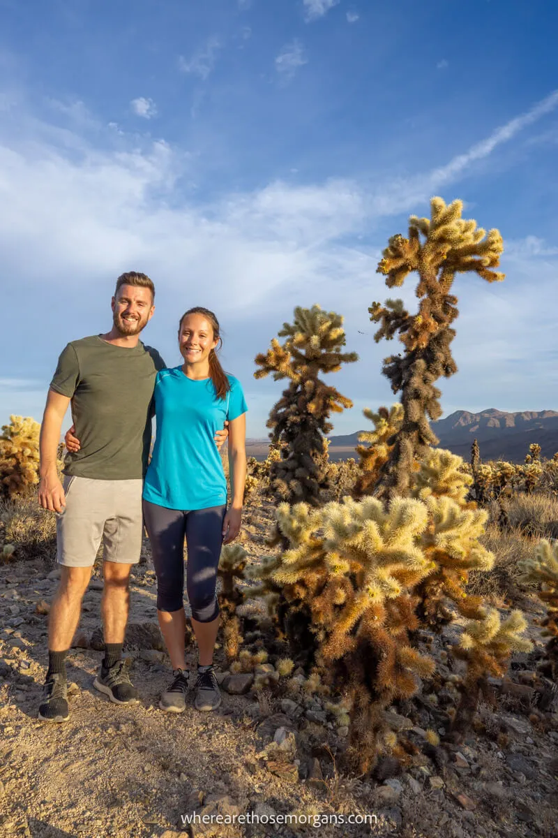 Photo of a couple standing together next to cacti in a desert on a sunny evening
