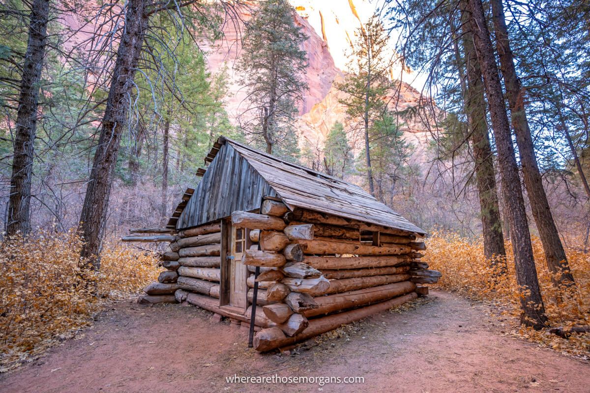 Photo of Fife Cabin on the Taylor Creek Trail in Kolob Canyons Zion, log cabin on pink sand surrounded by trees and red rock cliffs