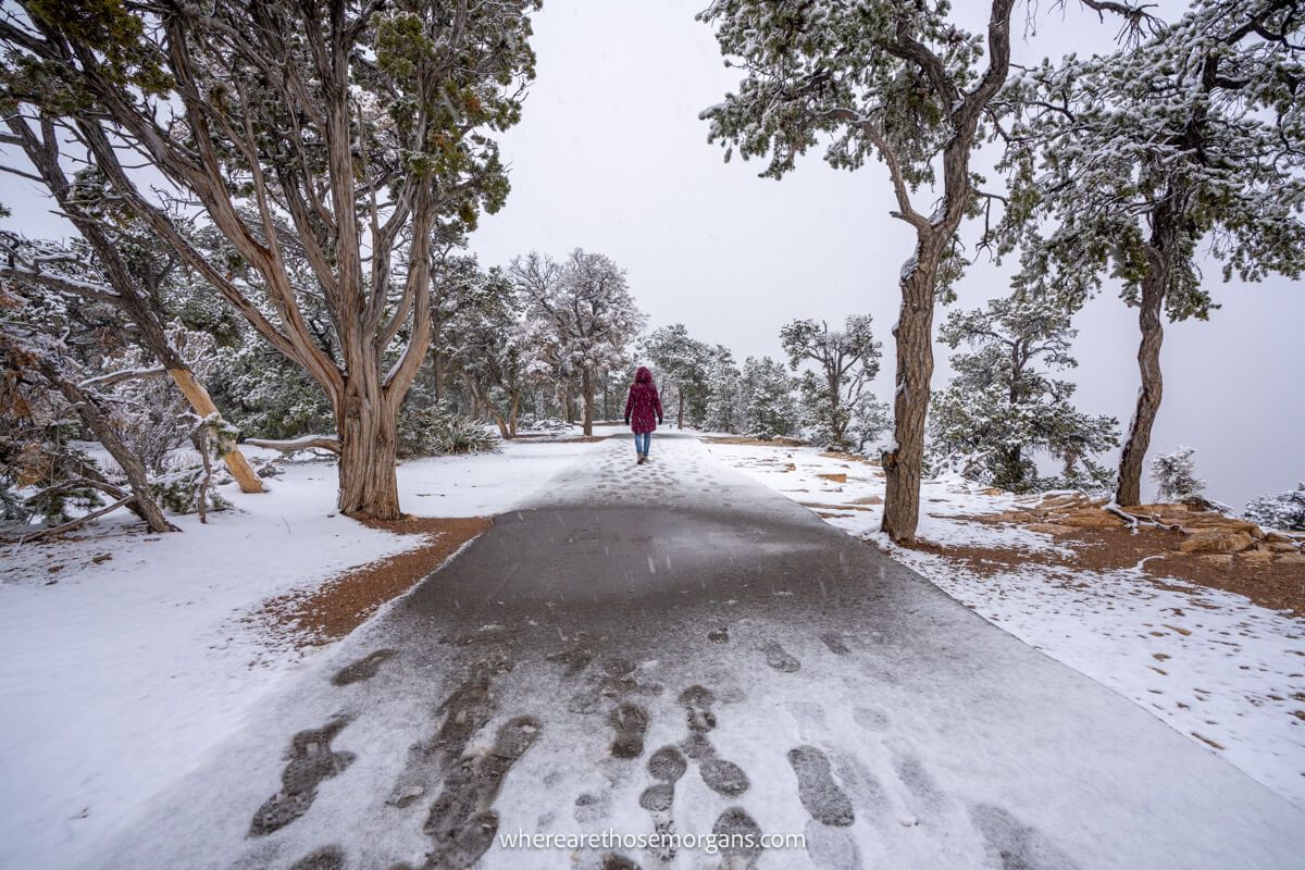 Photo of a tourist in red coat walking on a paved path covered in snow with footsteps and trees to either side at Grand Canyon in winter