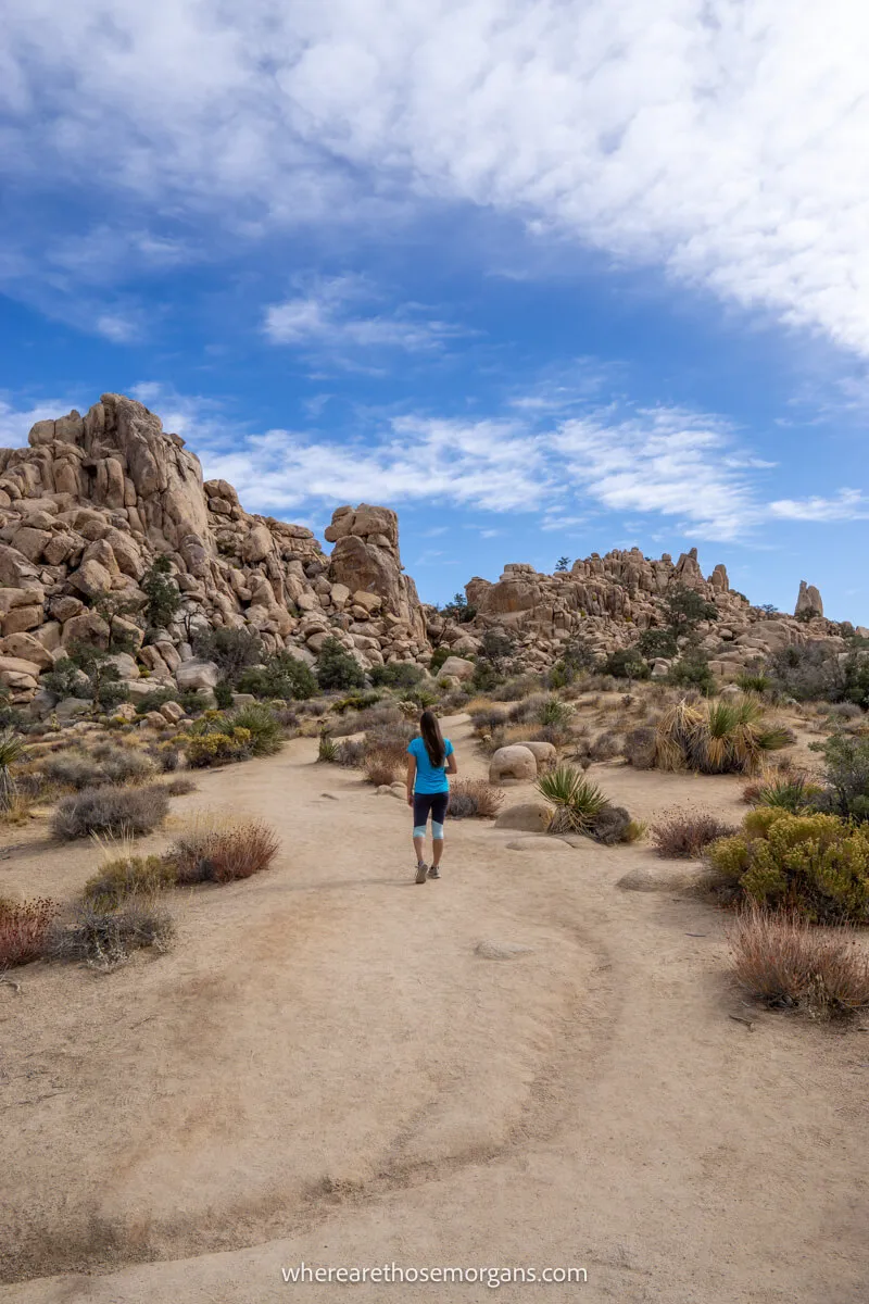 Photo of a hiker walking through a desert landscape with smooth boulders and cactus plants under a blue sky