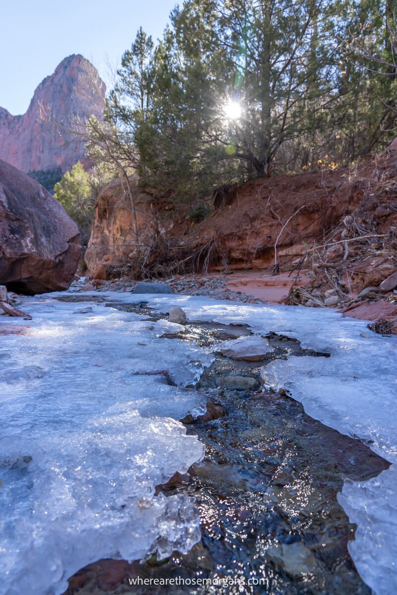Photo of a creek with a light layer of ice on top in a red rock landscape with trees and the sun coming through