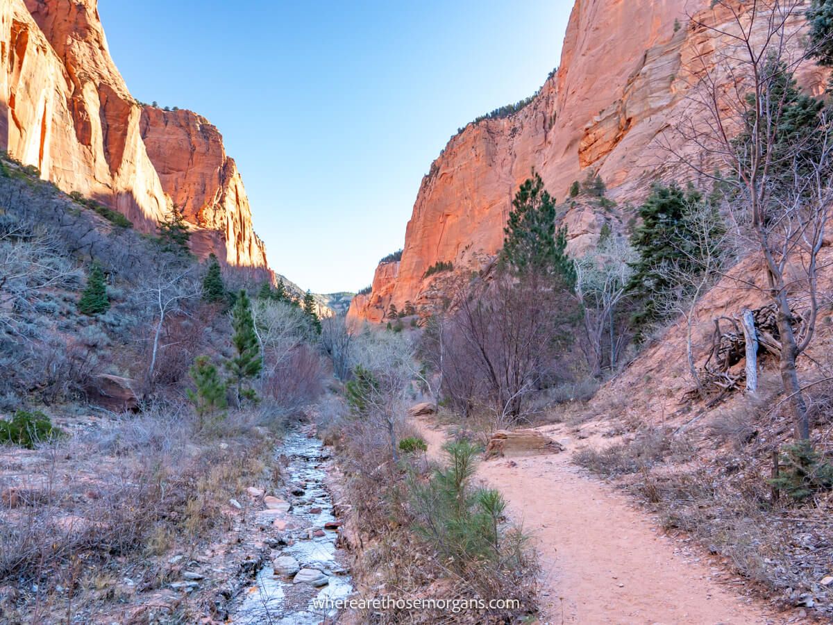 Guide To The Four Hiking Trails In Zion’s Quiet Kolob Canyons Area