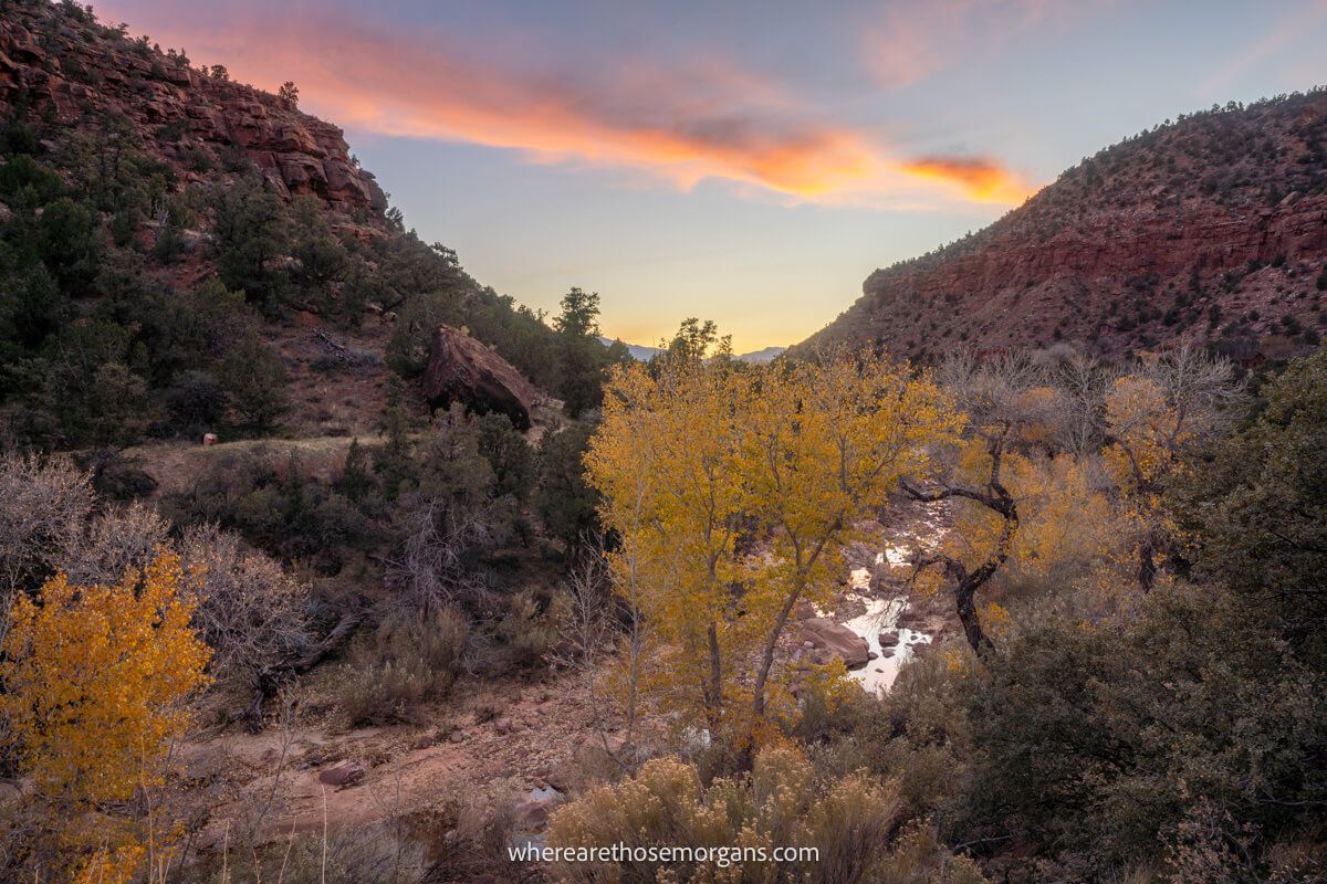 Photo of a riverside walk with trees and vegetation inside a valley surrounded by red rocks under a sky with light clouds at sunset