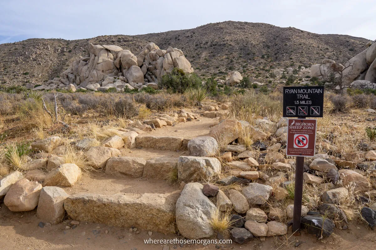 Photo of Ryan Mountain Trailhead in Joshua Tree with a trail sign next to steps leading to a tall mound