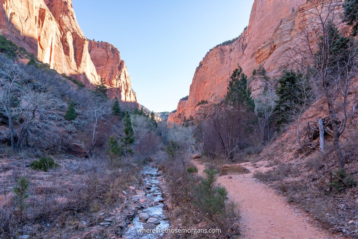 Photo of a dirt hiking path next to a shallow creek flanked by tall red rock cliffs all in shadow on the Taylor Creek Trail hike in Zion National Park
