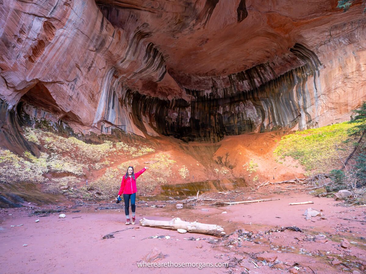 Exactly How To Hike Taylor Creek Trail In Zion National Park