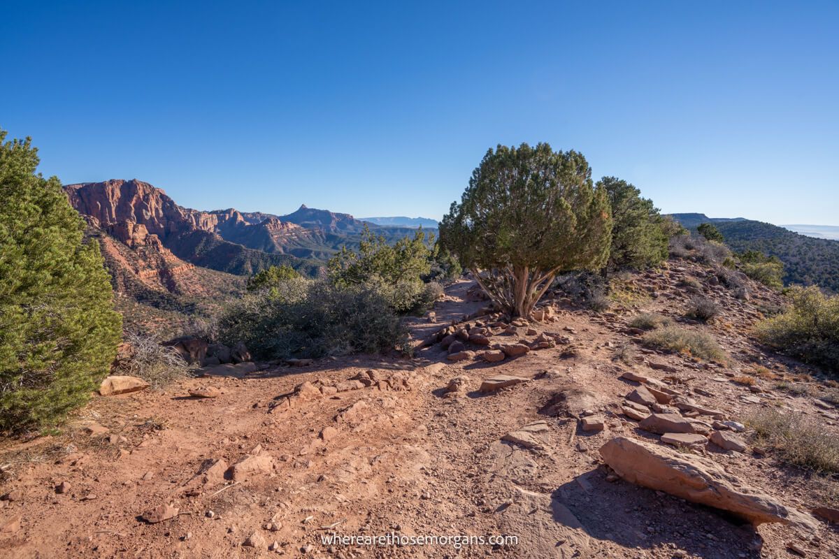 Photo of a dirt hiking trail with small rocks and trees under a blue sky