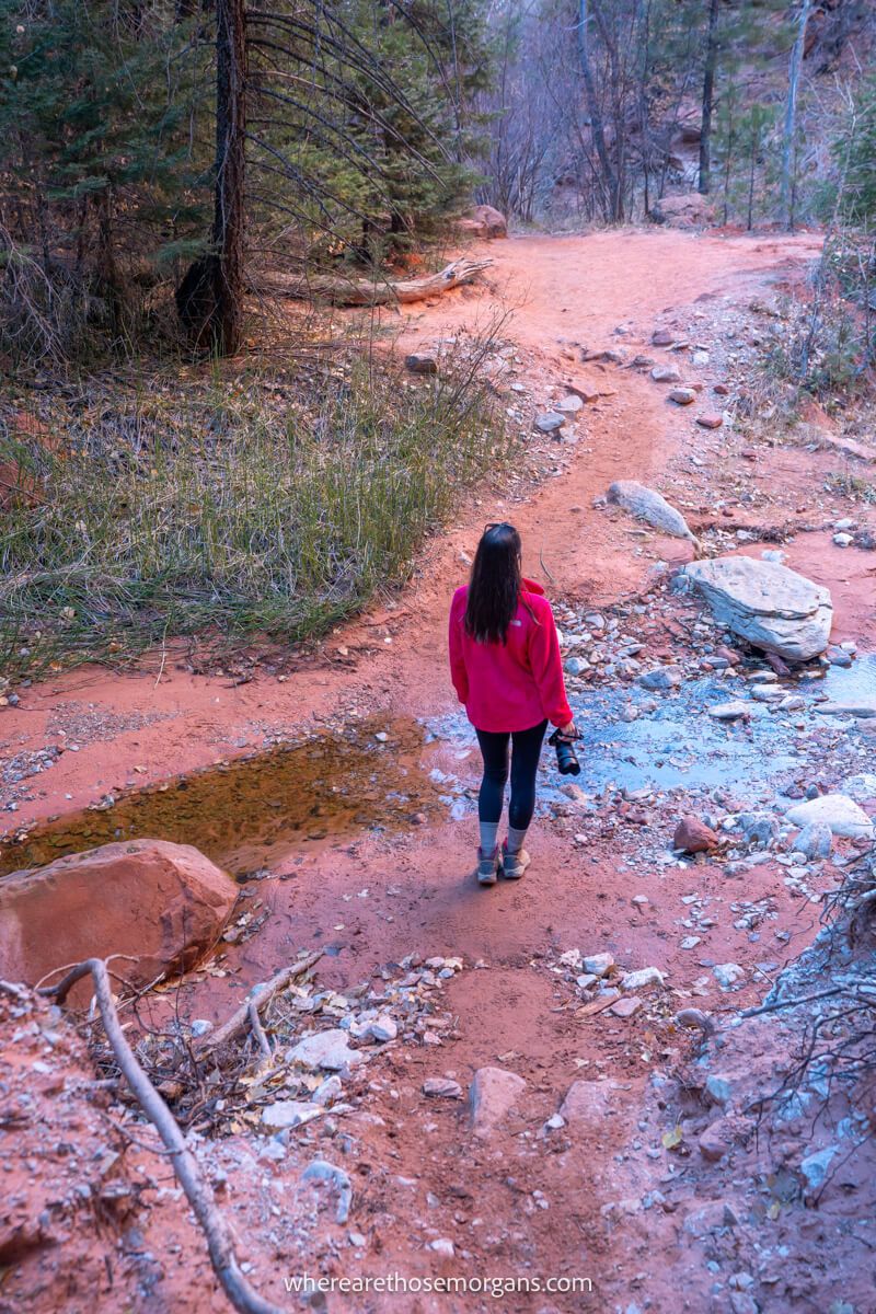 Photo of a hiker walking along a dirt trail and crossing small stones over a shallow creek