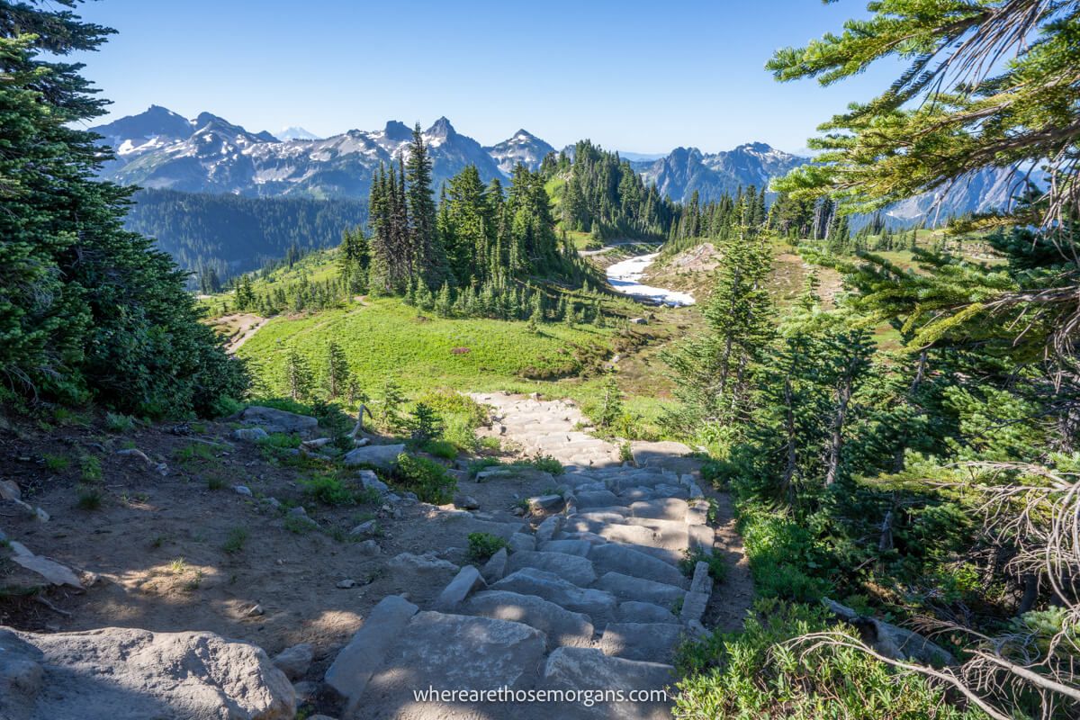 Photo of a rocky staircase cutting down a mountainside through lush green vegetation on the Skyline hike in Mount Rainier