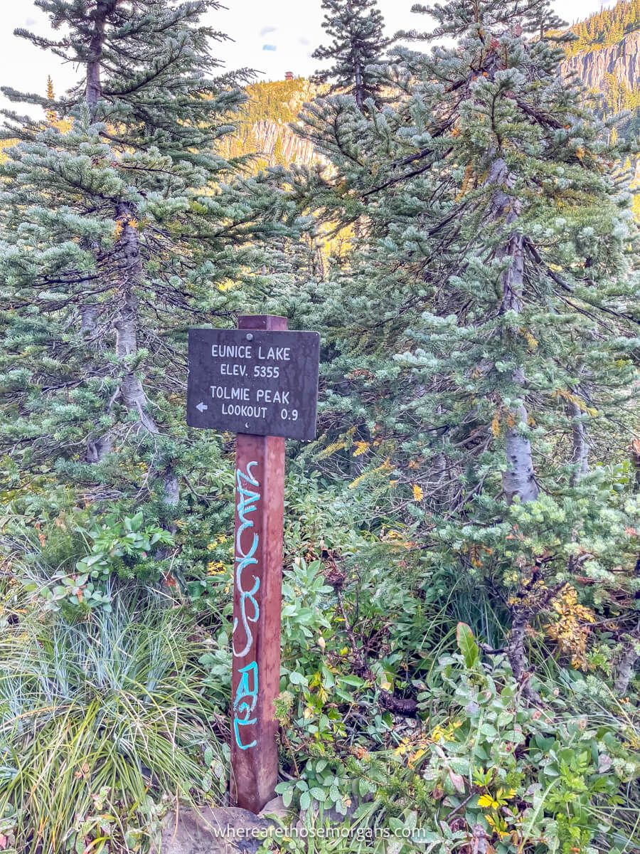 Photo of a trail sign backed by thick vegetation and trees