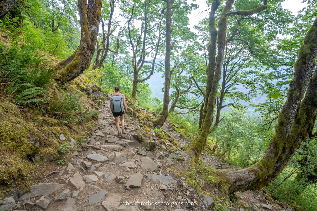 Photo of a person hiking down the rocky narrow Lake 22 Trail through a forest with trees that have curving trunks
