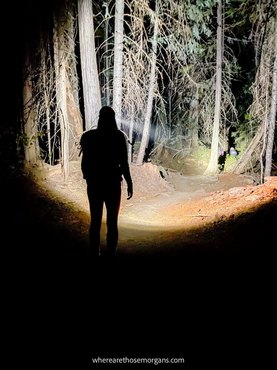 Photo of a hiker walking through a forest in the dark with a headlamp lighting up the path ahead at the start of The Enchantments Trail