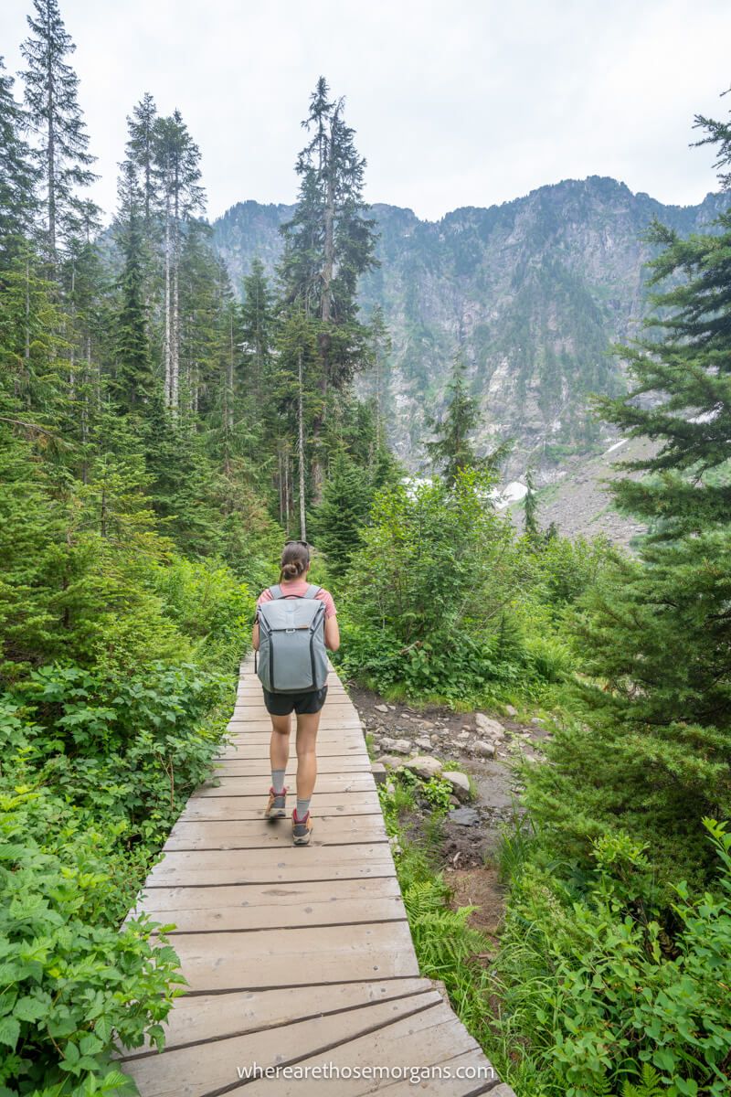 Photo of a person on a long and narrow wooden boardwalk cutting through evergreen trees at a mountain summit in Washington