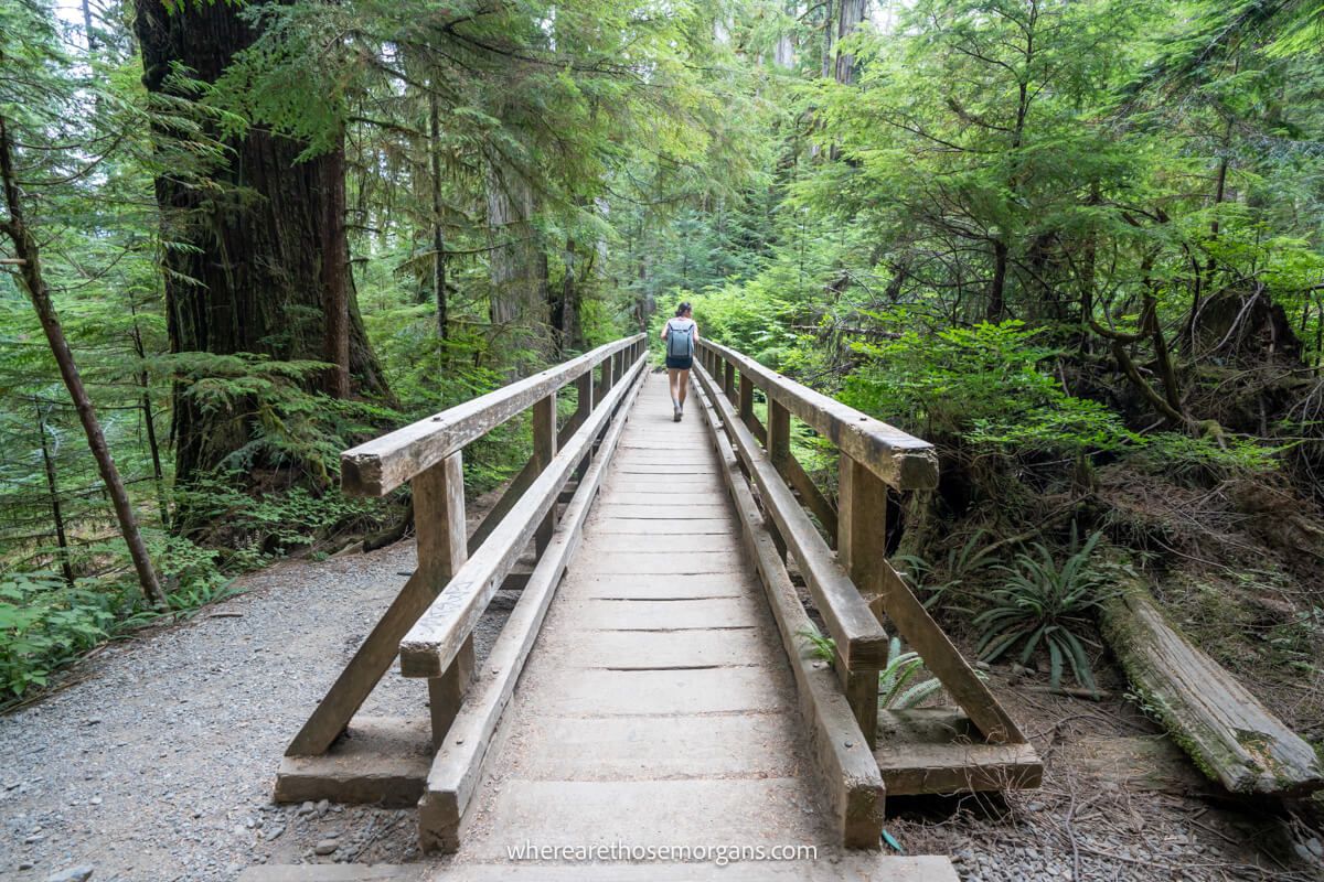 Photo of a long narrow wooden bridge built through a forest to cross a creek and a person walking near the far side