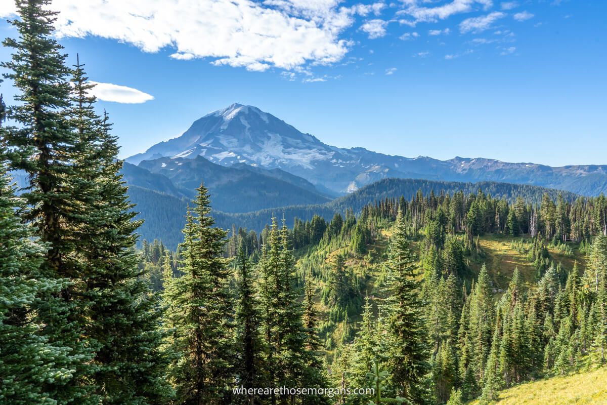 Photo of Mt Rainier from afar with trees in the foreground and a deep blue sky