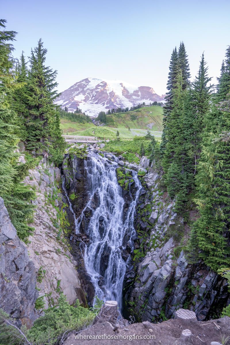 Photo of a narrow waterfall with trees to either side leading to a snow capped Mt Rainier from the Skyline Trail Loop at Myrtle Falls at dawn
