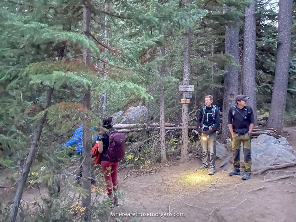 Photo of a trail split in a forest with hikers stood waiting