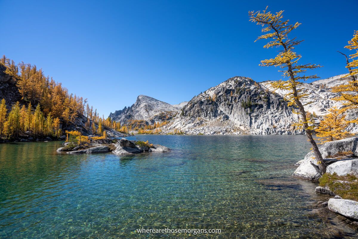 Photo of a lake with golden larch trees and granite mountains on the edges under a blue sky