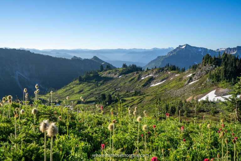 Skyline Loop Fall How To Hike Skyline Loop Trail In Mt Rainier