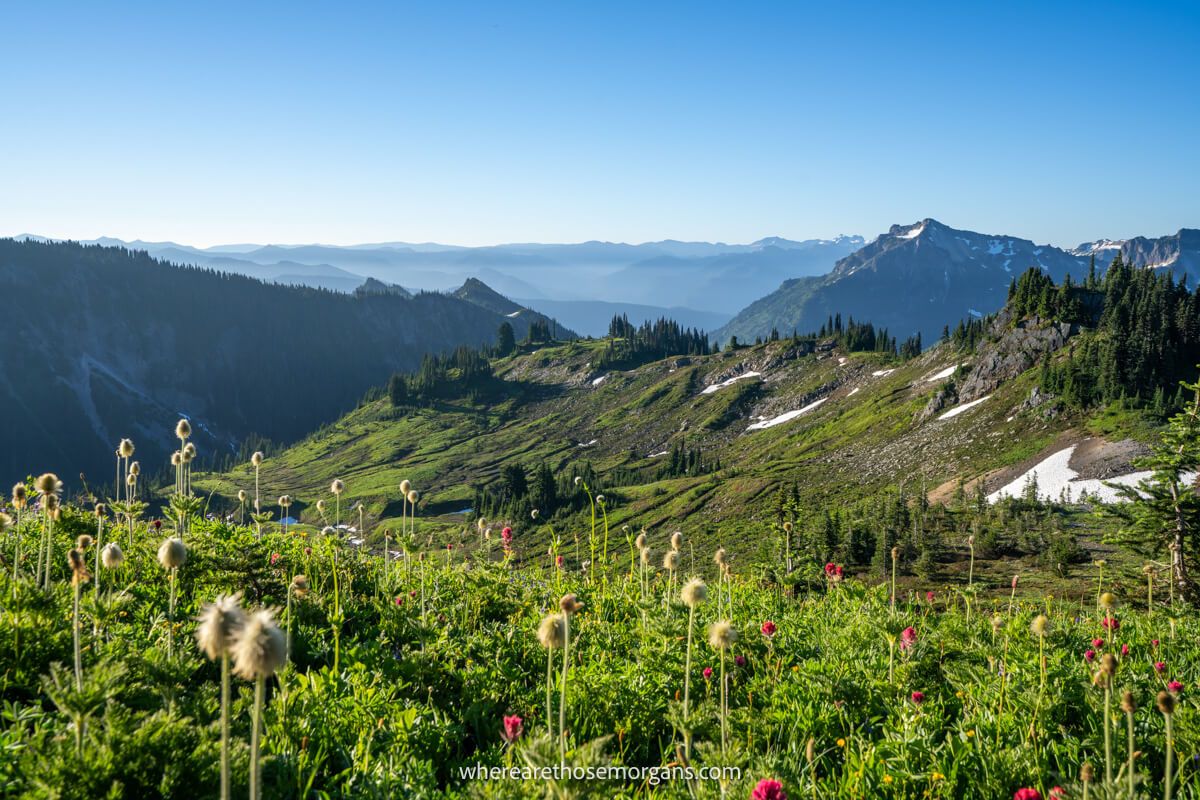 Photo of lush green meadows with views over mountains as far as the horizon under a clear blue sky in Washington State