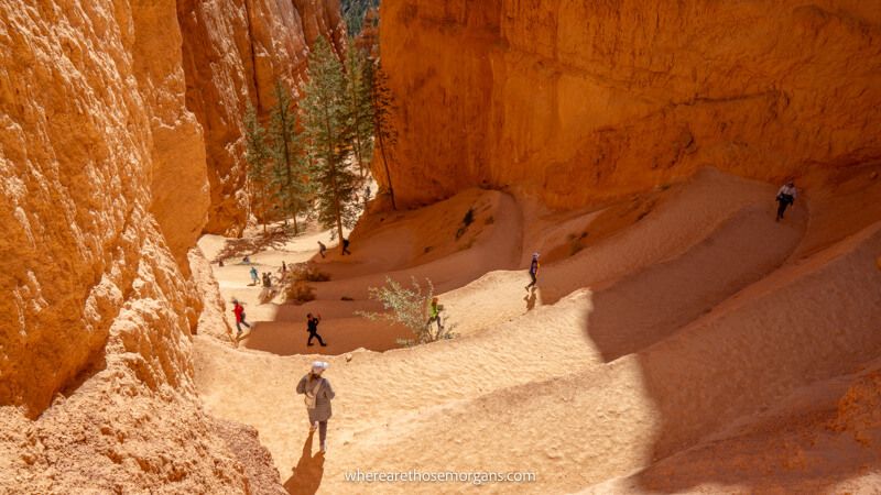 Photo of a series of switchbacks built into sandstone landscape in Utah
