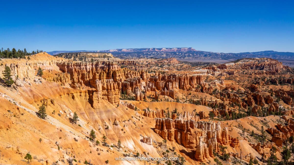 Photo of a sandstone amphitheater filled with hoodoos under a clear blue sky