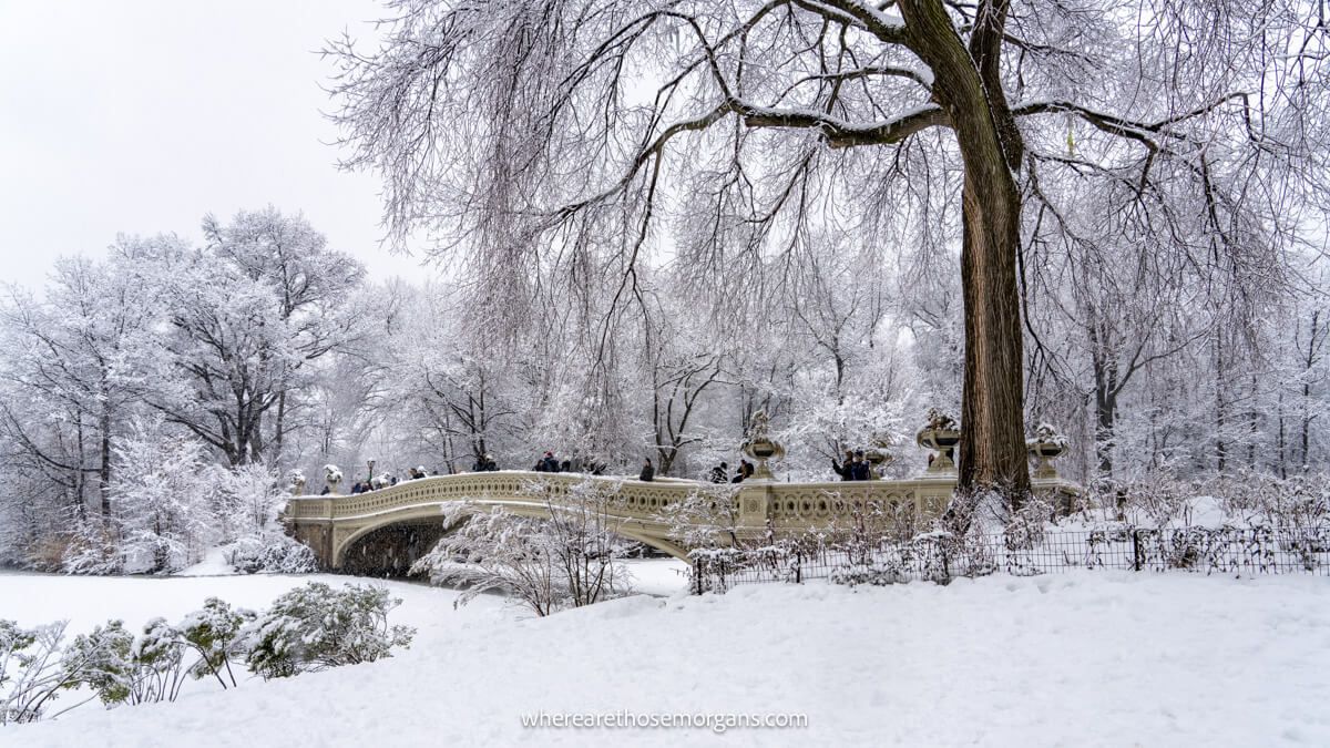 Ornate pedestrian bridge next to a bare tree with lots of snow on the ground