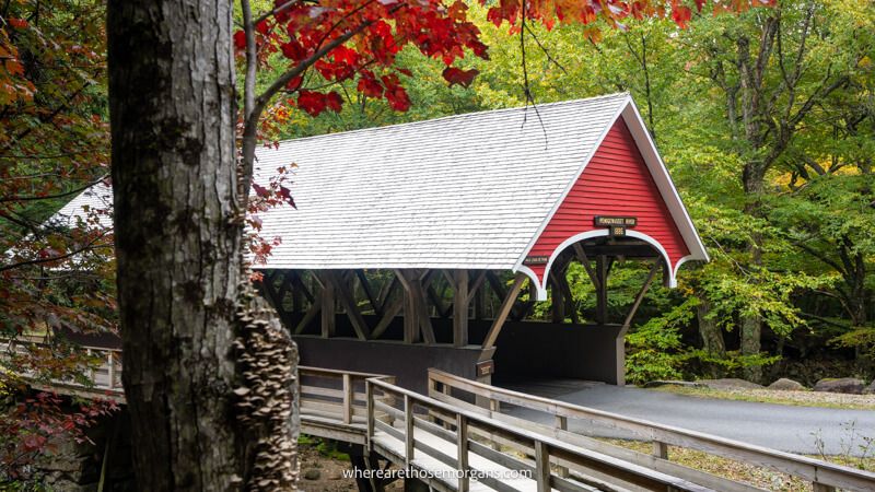 Photo of a covered bridge with red paint at the end of a wooden bridge behind a thick tree trunk in a forest