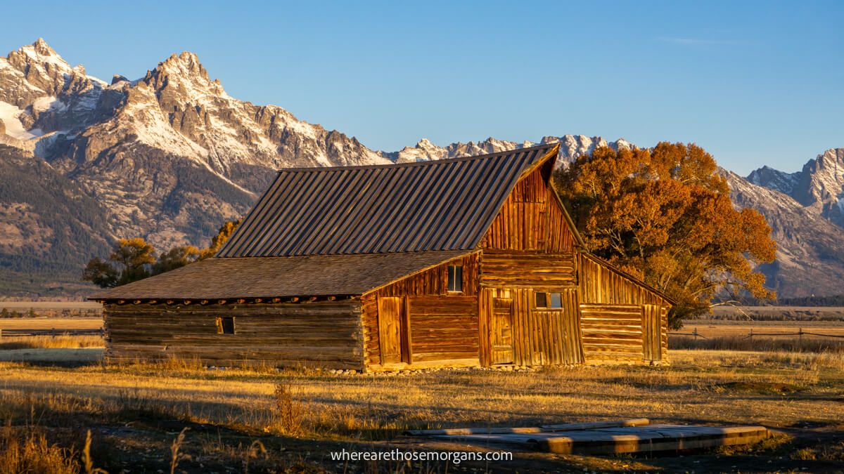 Photo of a wooden barn next to a tree and backed by tall snow capped mountains under a clear blue sky