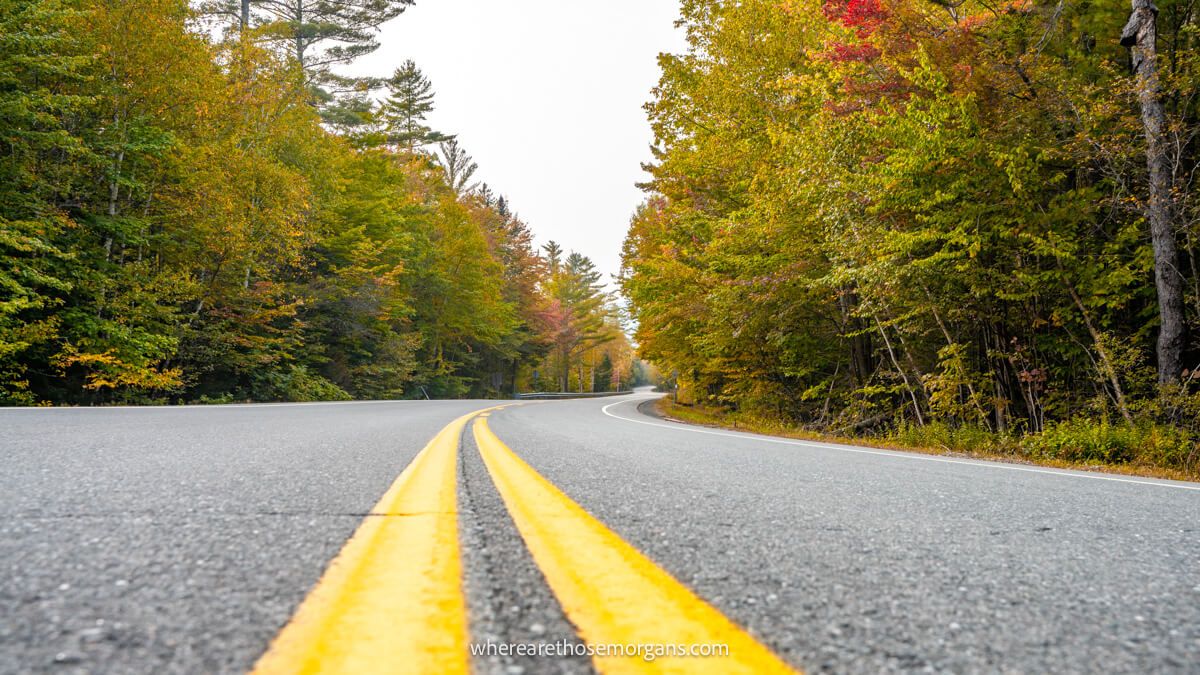 Photo of a road with two yellow lines cutting through a forest in the fall