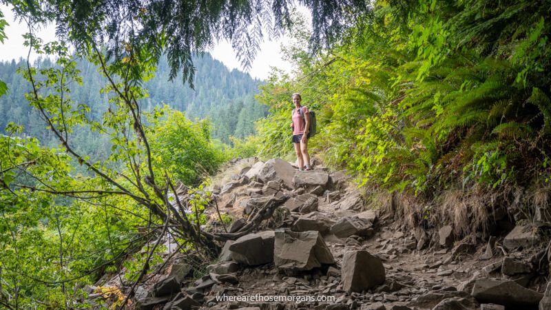 Photo of a hiker on a rocky trail leading out of a forest