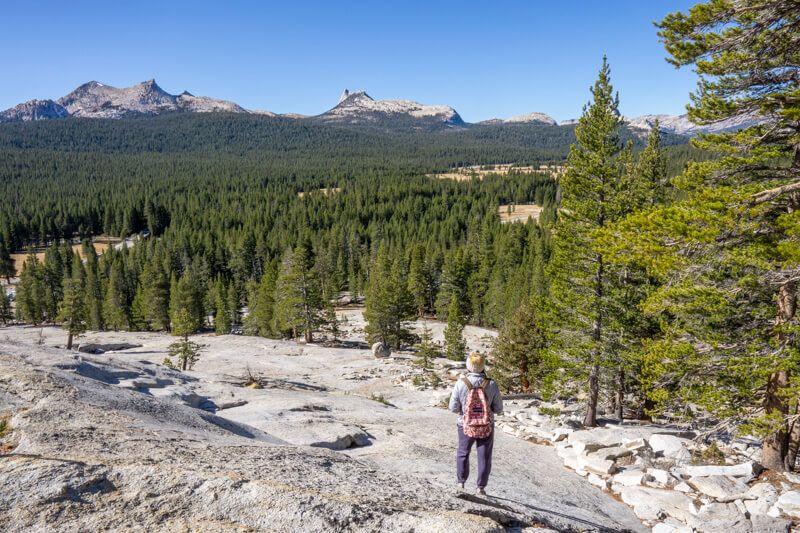 Photo of a hiker standing on a granite dome surface looking at far reaching views over trees and distant granite mountains under a clear blue sky in Yosemite
