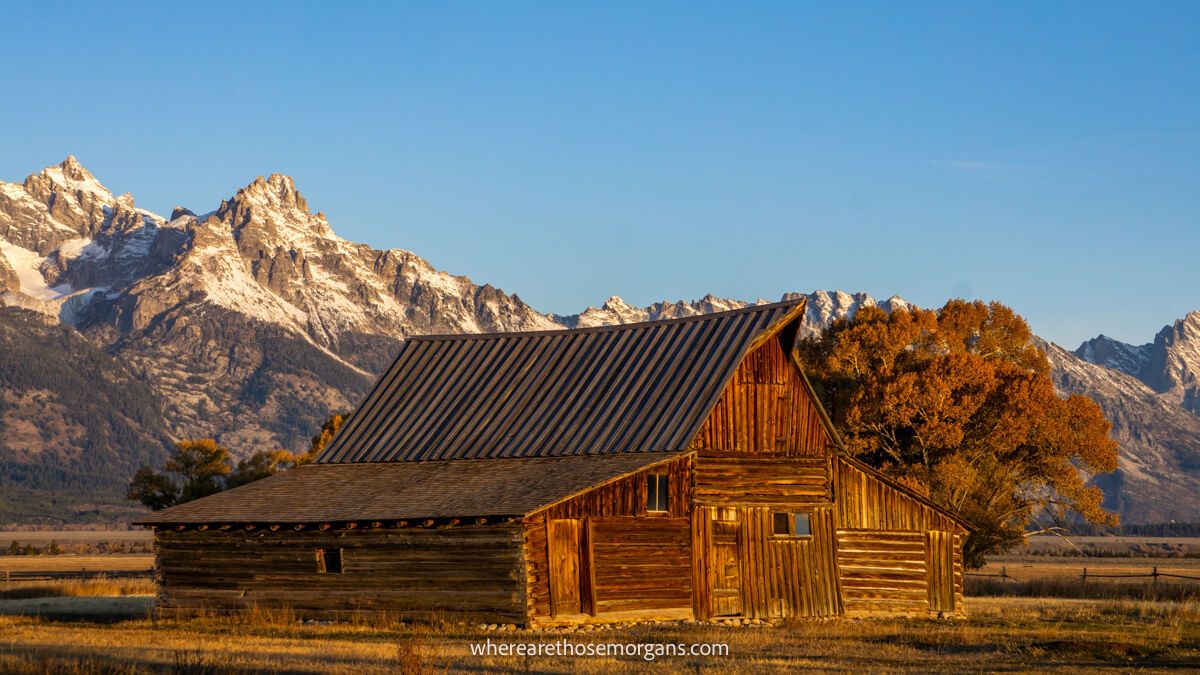 Wooden barn and a small tree in a wide open field at sunrise with snow capped mountains behind