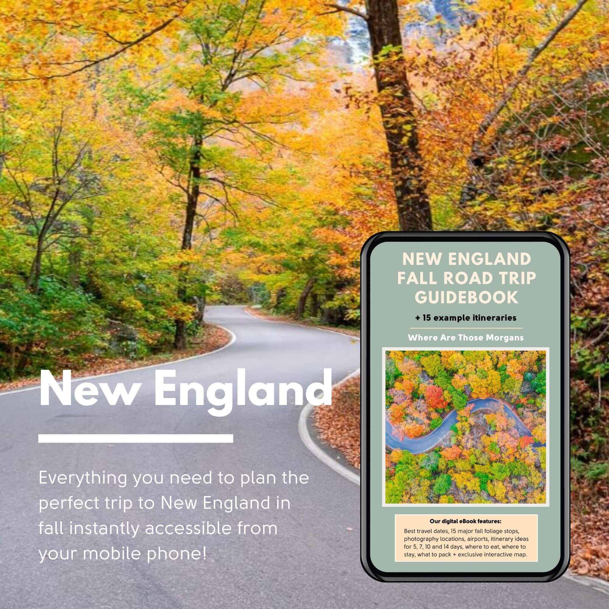 Photo of a road twisting through forest covered in fall foliage leaves with a smartphone in the bottom right corner showing a guidebook and the words New England overlaid