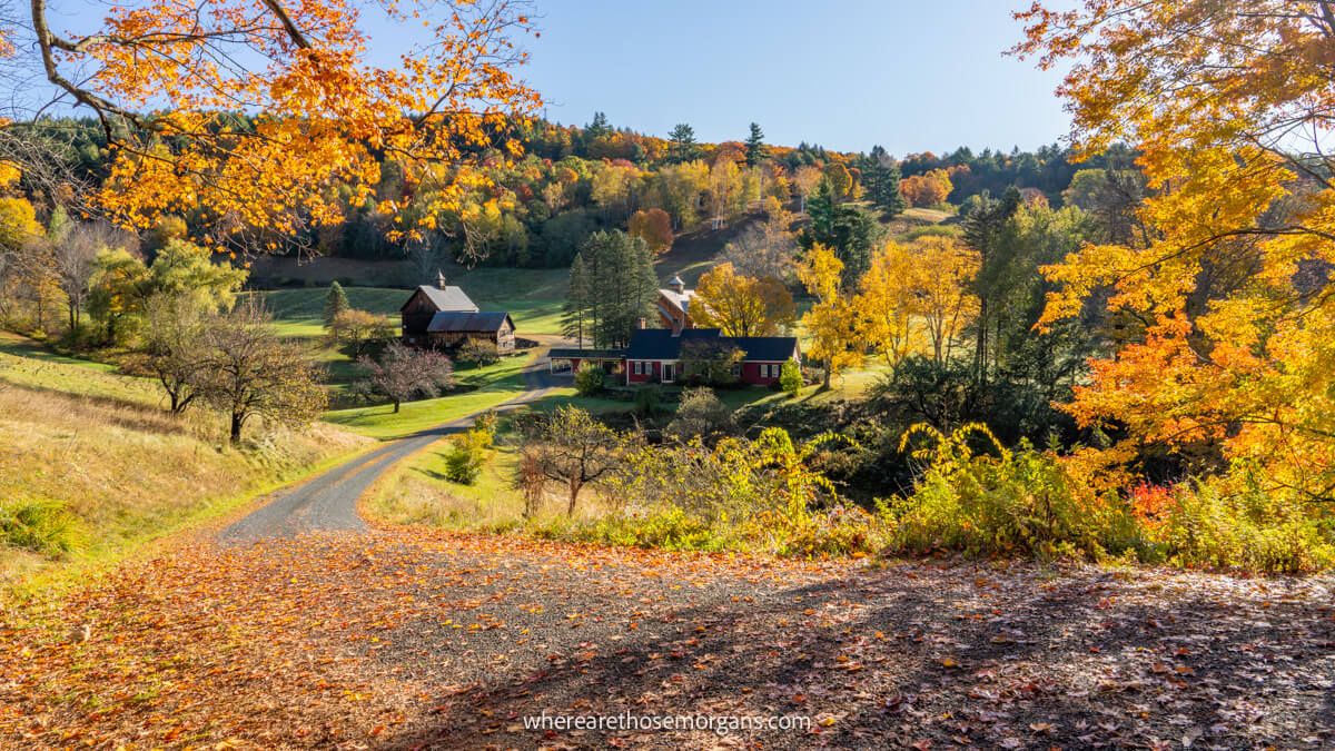 Photo of a road leading down to a rural farm with fall foliage leaves on the ground and in trees on a clear sunny day in New England