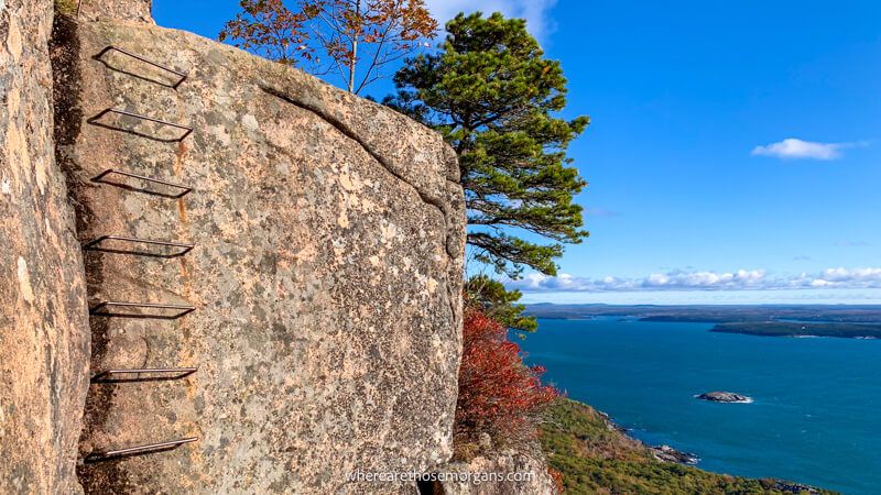 Photo of a large rock slab with metal rungs built into the rock to create a ladder for climbing with views of the ocean and long drops to trees below