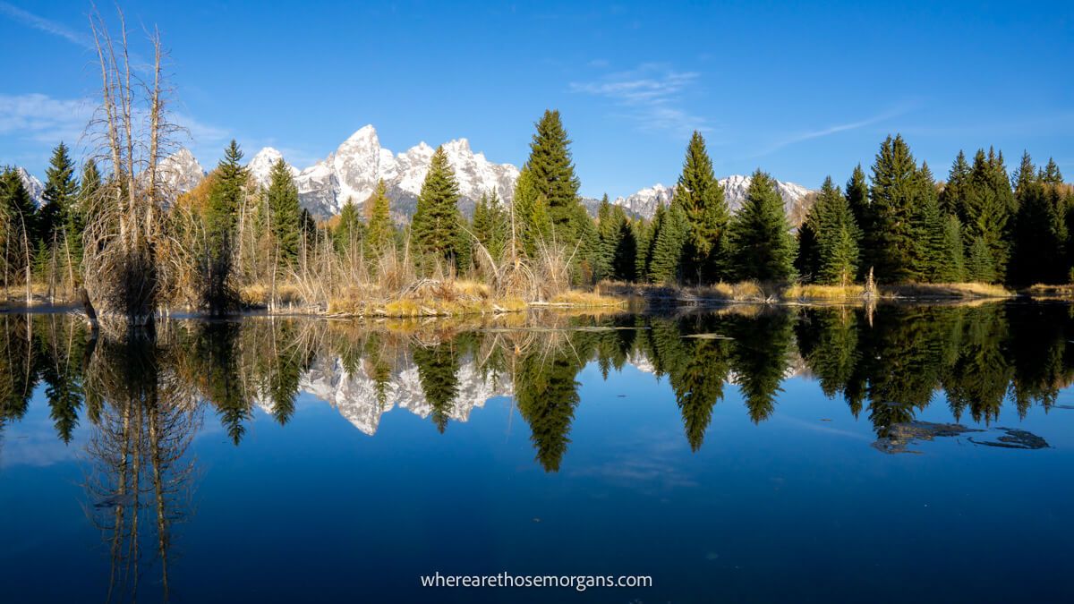 Pristine river reflection of trees and mountains on a clear morning