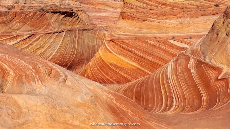 Photo of swirling red and white sandstone layers in Arizona