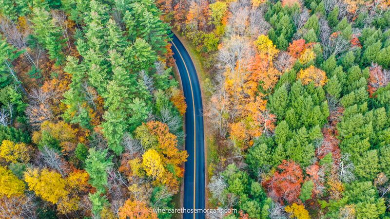 Photo of a road cutting through a forest with colorful leaves