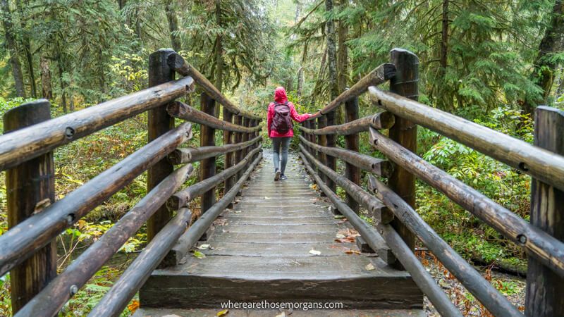 Photo of a hiker walking across a wooden bridge into a green forest