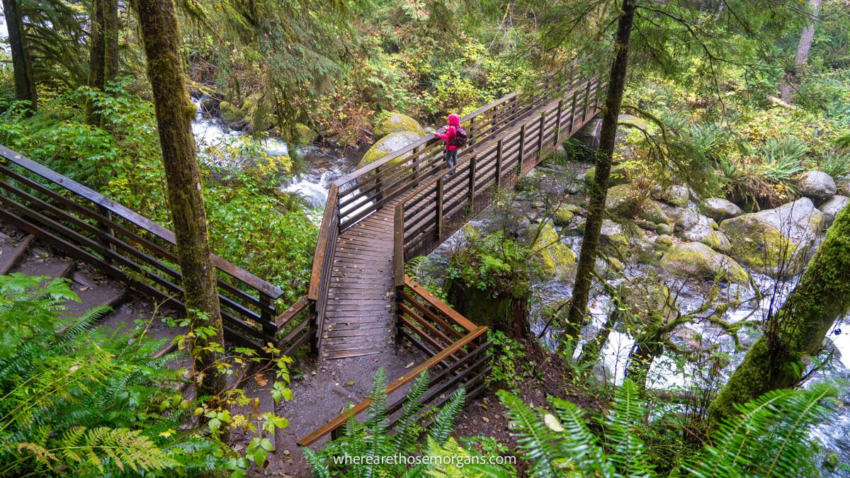 Photo of a hiker in a pink coat stood on a wooden bridge crossing a river in a forest inside a state park in Washington