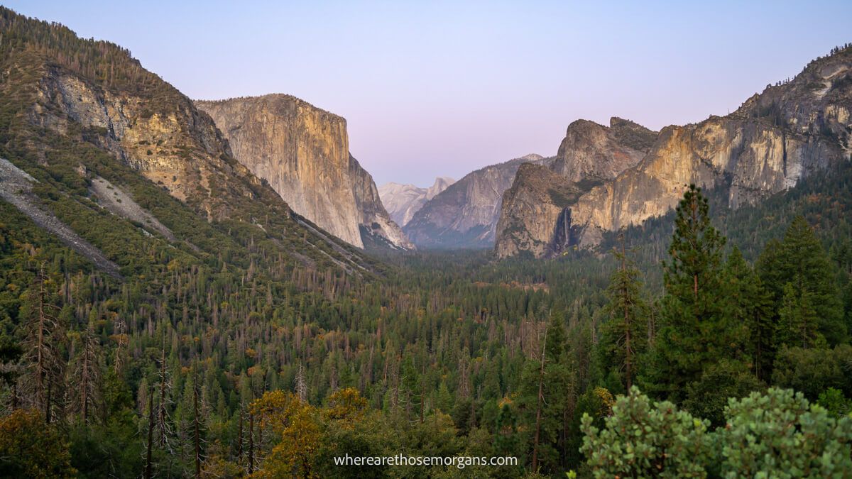 Photo of a V-shaped valley filled with evergreen trees and granite rock formations in the distance