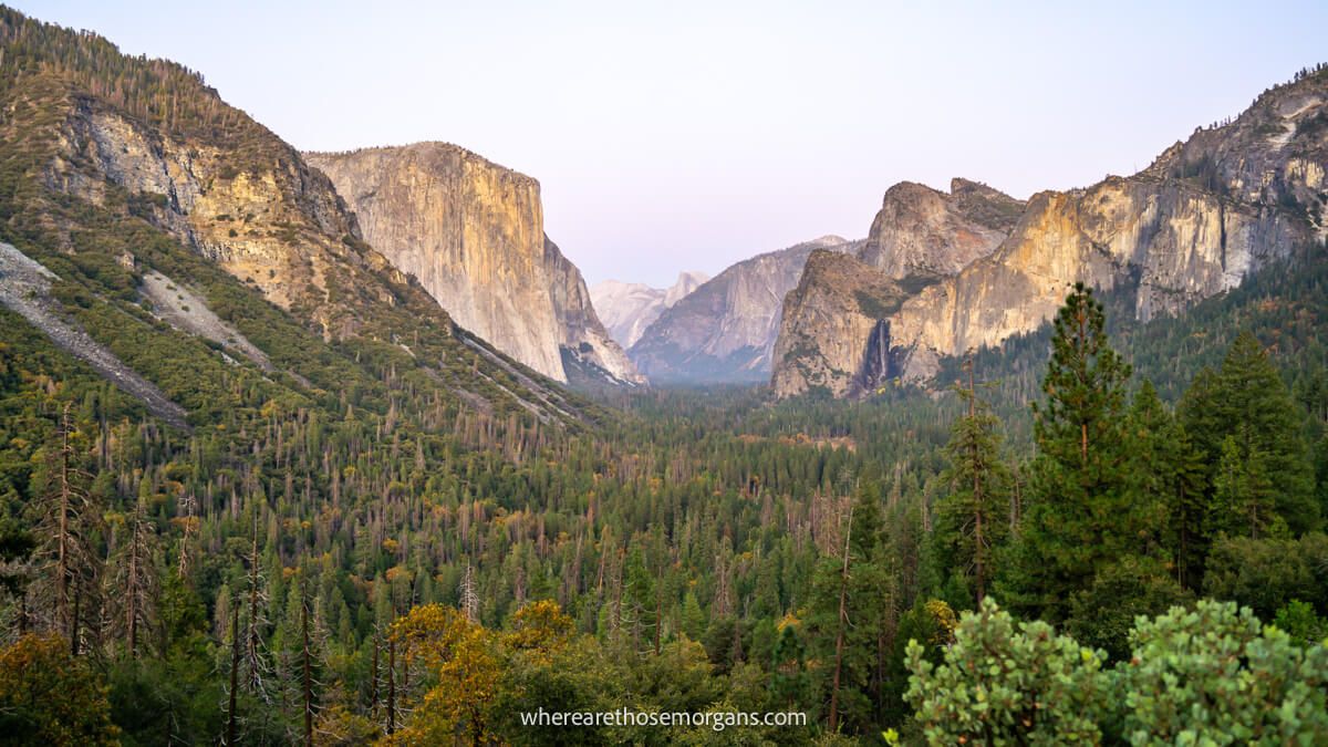 V-shaped valley covered in evergreen trees leading to distant granite formations at dusk