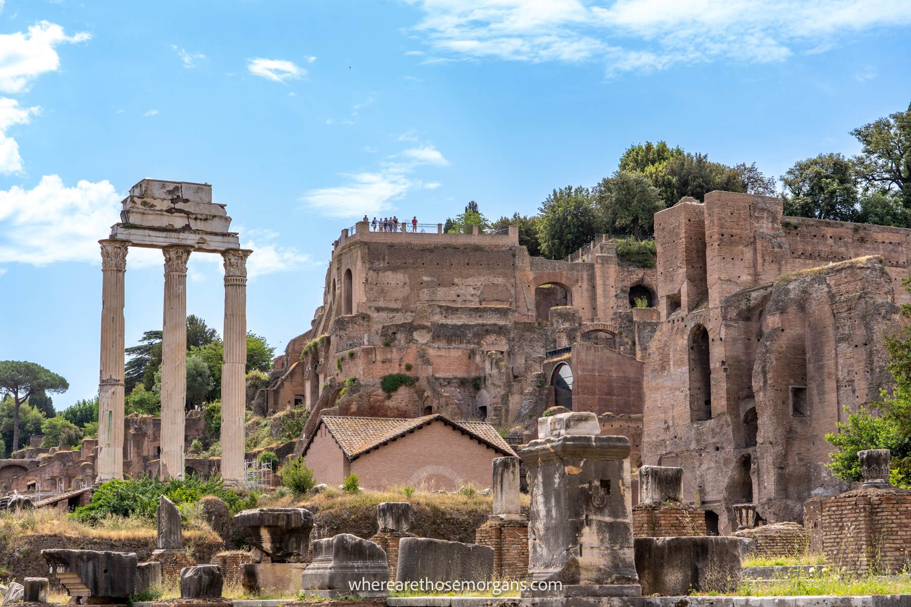 Photo of ruins in the Roman Forum and Palatine Hill on a sunny day