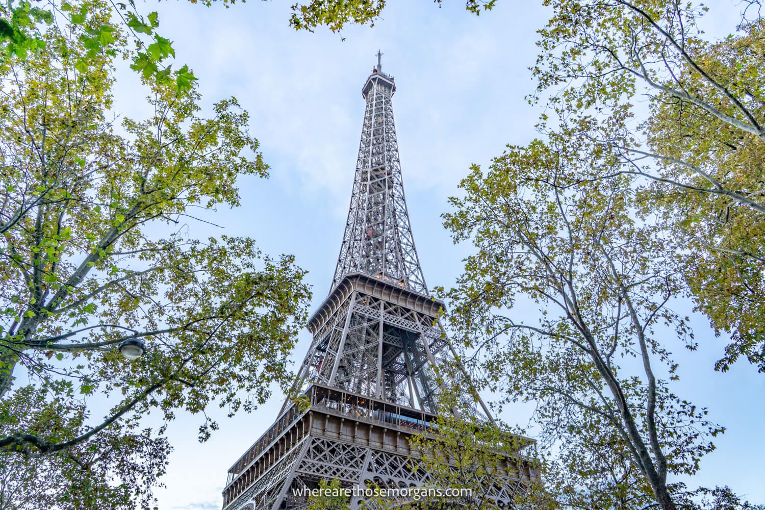 Photo looking up at the Eiffel Tower through trees on a clear day