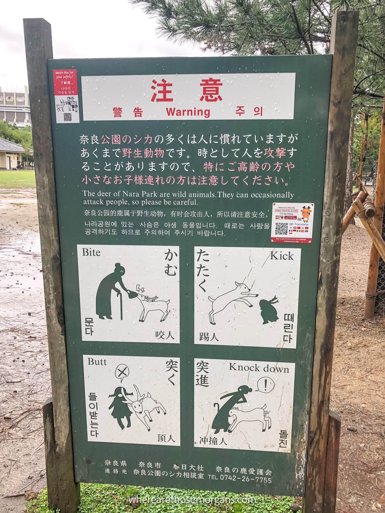 Warning sign about aggressive deer in Nara, Japan